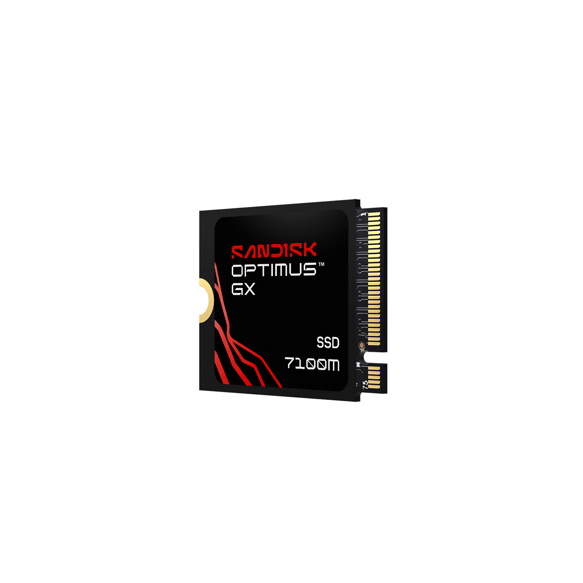 SanDisk Optimus GX 7100M NVMe SSD (1TB–2TB)