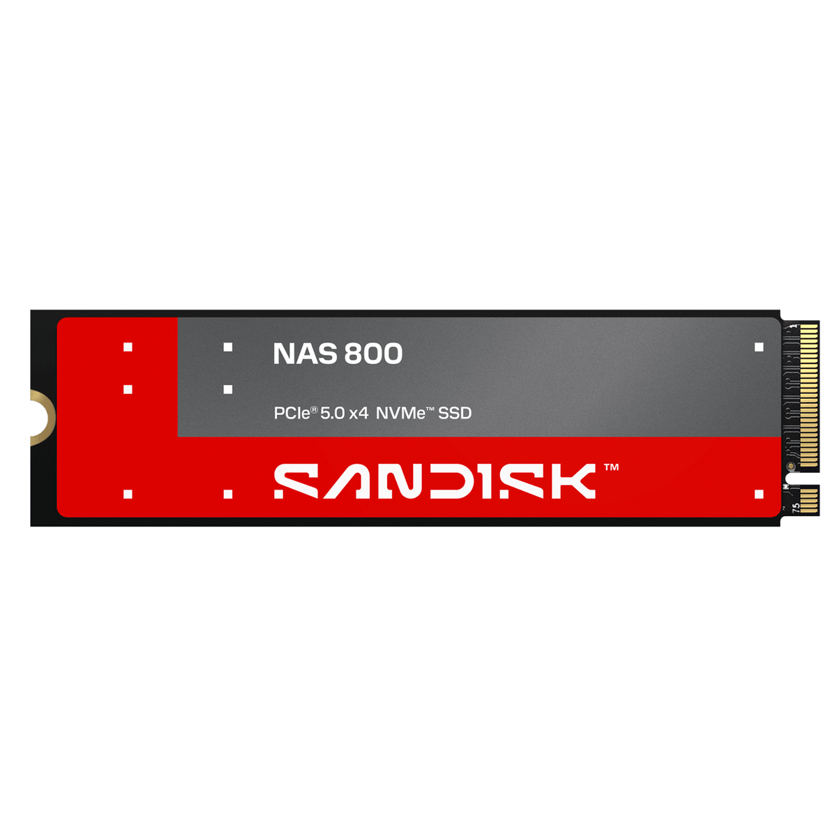 SanDisk NAS 800 NVMe SSD (960GB–7.68TB)
