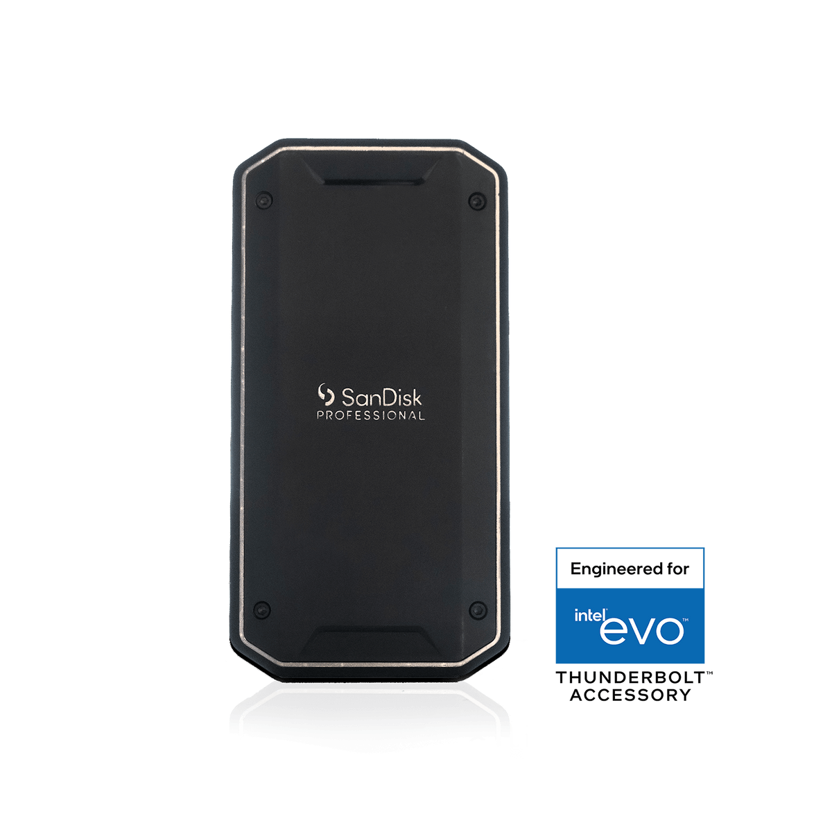 SanDisk Professional PRO-G40 SSD (exFAT) (1TB–4TB)