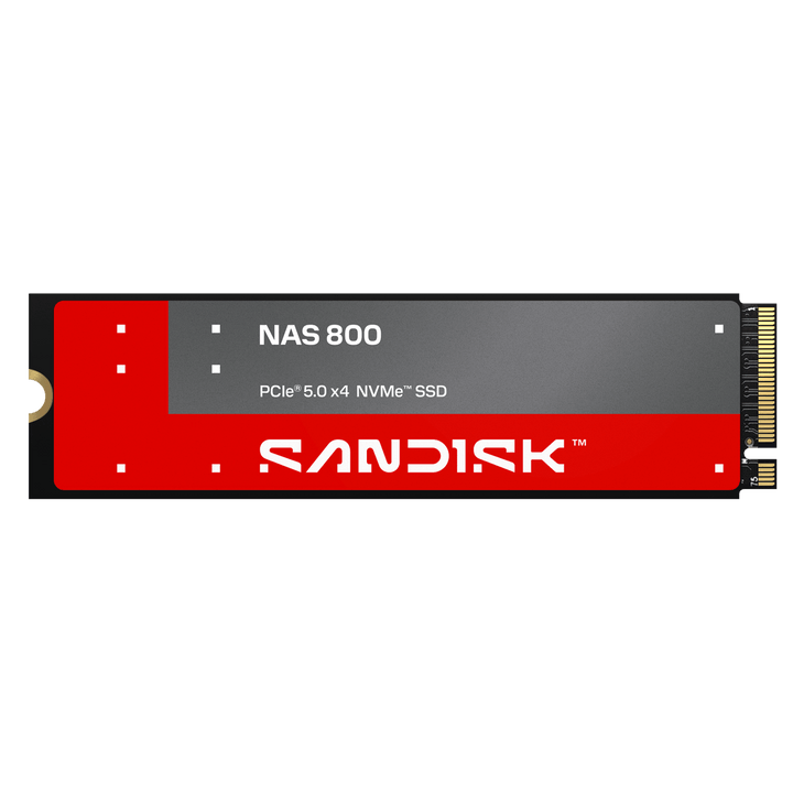 SanDisk NAS 800 NVMe SSD (960GB–7.68TB)