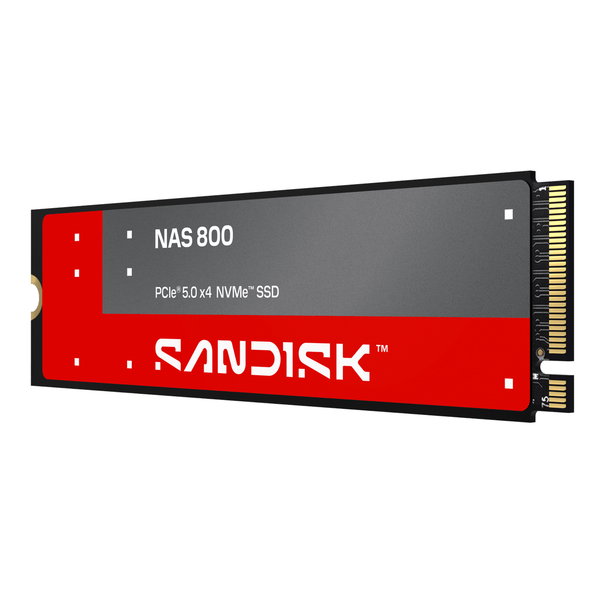 SanDisk NAS 800 NVMe SSD (960GB–7.68TB)
